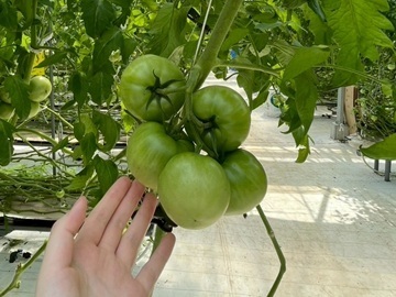 MAGOKOROFARM-3