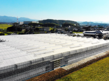 株式会社東馬場農園-8