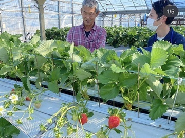 合同会社プレコ【熊本県:農業資材営業】-2