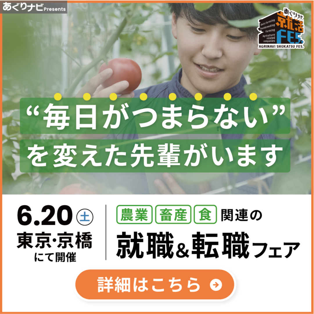 フェアプレミアムバナー