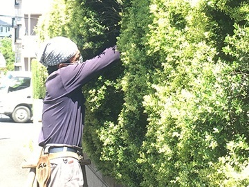 株式会社鈴木造園土木