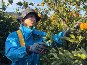 株式会社自然農法杉山農園-6