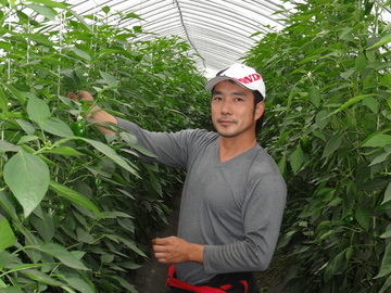 北海道新冠町 地域おこし協力隊募集-8