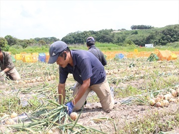 株式会社中村農園(常滑農産)-6
