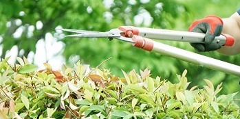 世田谷区を拠点に活躍しよう☆地域密着型の造園会社で、植木・造園スタッフを経験者で増員募集中！転勤なし・資格取得支援あり♪【日給13,000円〜18,000円】