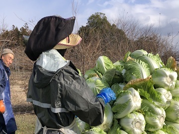 イチバリキファーム-4