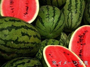 愛媛県内子町×野菜/法人【43741】-3