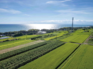 高知県田野町 地域おこし協力隊募集-1