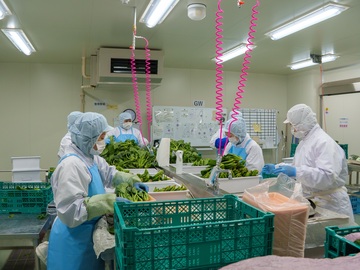 マルミ青果株式会社-2
