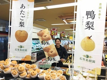 石原果樹園【パート・アルバイトのみ】-3