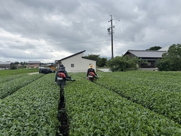 イチバリキファーム-8