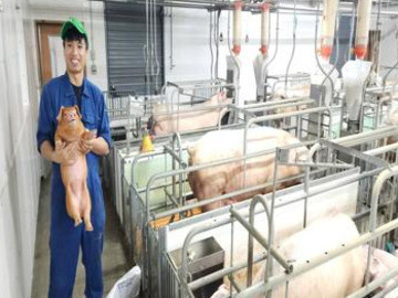 有限会社サイキ-4