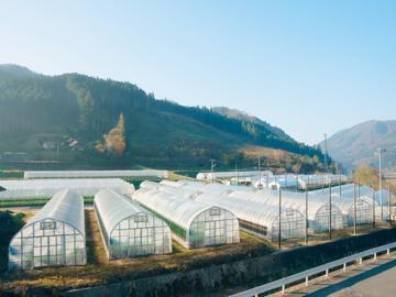 株式会社中原ファーム-8