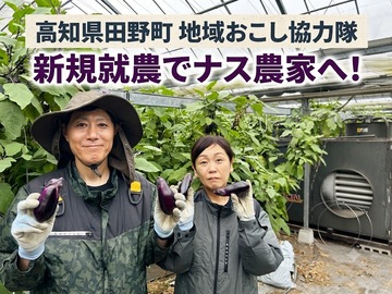 高知県田野町 地域おこし協力隊募集-top