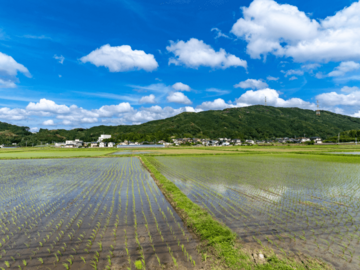 兵庫県豊岡市×水稲生産/法人【43802】-2