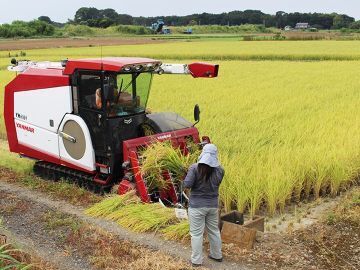 株式会社おひさま-7