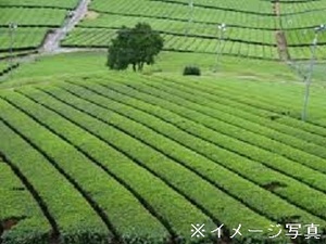 三重県×農園生産スタッフ/法人【43804】-top