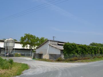 有限会社まえしば-5