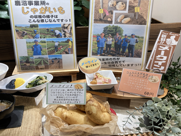株式会社バンダイナムコウィル-5