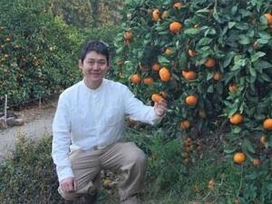 Little Mandarin Farm-top