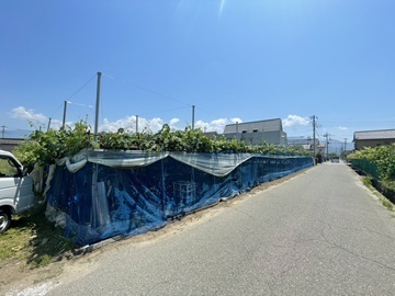 半田農園-7