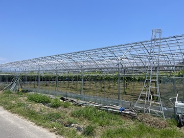 半田農園-2