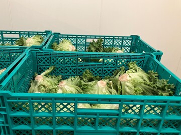 有限会社吉川農産-4