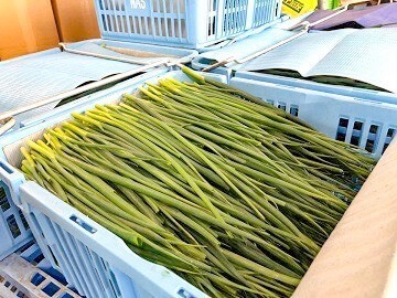 農業生産法人 有限会社住友フーズ-3