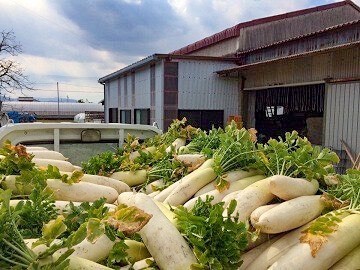 農業生産法人 有限会社住友フーズ-8