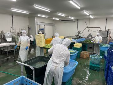 サンショクふぁーむ(株式会社サンショク)-6