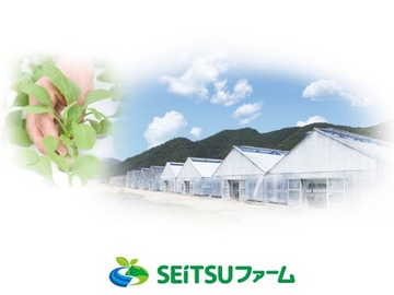 SEITSUファーム(株式会社成通・ソフトシステムズ)-1