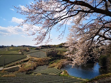 株式会社堀川園-7