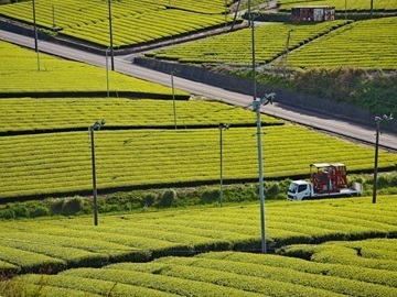 株式会社堀川園-2