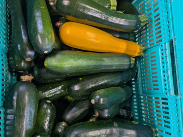 野崎ファーム-6