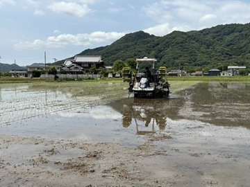 吉田農園-1