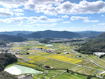 吉田農園-7