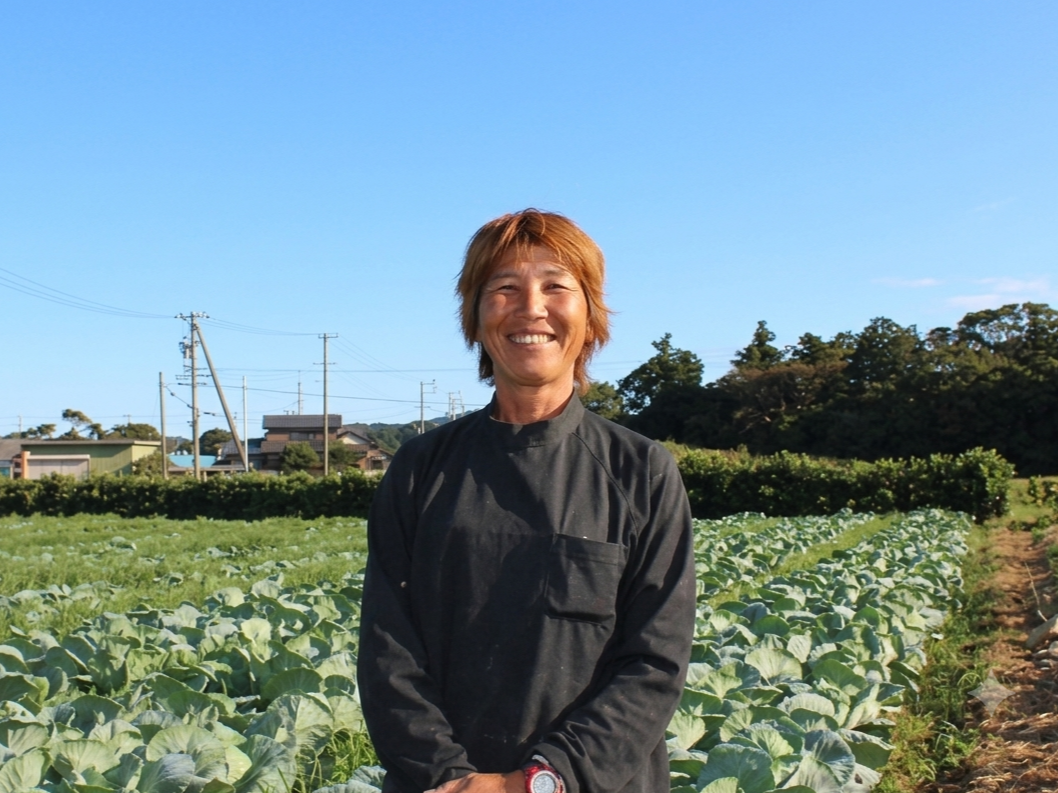 株式会社やさいの樹