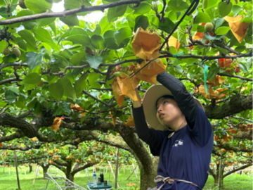 株式会社パンクチュアル-1