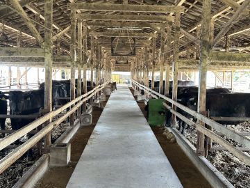 吾孫子牧場-3