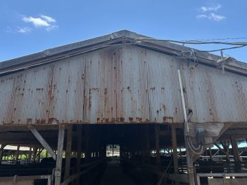吾孫子牧場-5