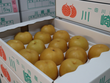 株式会社パンクチュアル-5