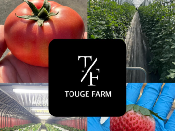 TOUGE FARM-1
