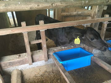 森畜産株式会社-3