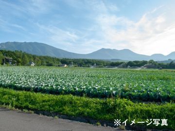 鹿児島県鹿児島市×法人営業/法人【43860】-top