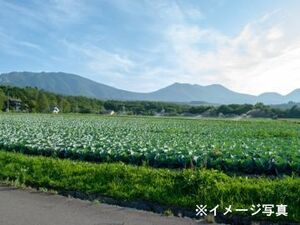 鹿児島県鹿児島市×法人営業/法人【43860】-top