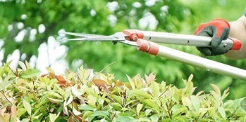 世田谷区を拠点に活躍しよう☆地域密着型の造園会社で、植木・造園スタッフを経験者で増員募集中!転勤なし・資格取得支援あり♪【日給13,000円〜18,000円】