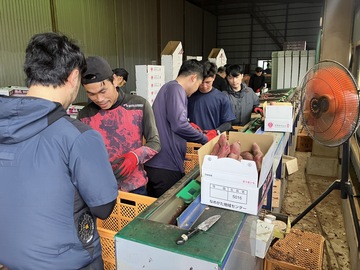 宮内青果株式会社-6