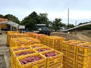 宮内青果株式会社-4