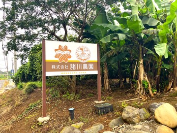 株式会社諸川農園-3