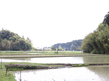 城北ヤクルト販売株式会社-6